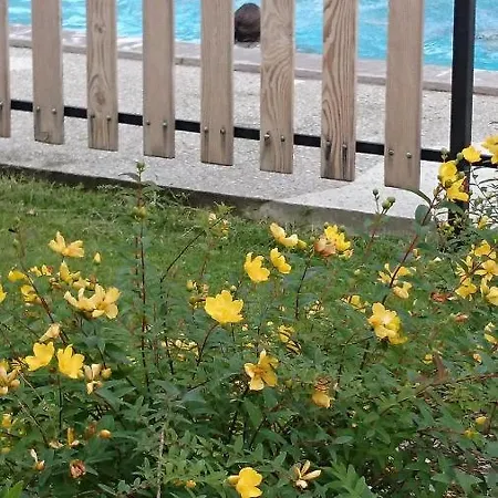 Hébergement de vacances Les 3 Edelweiss